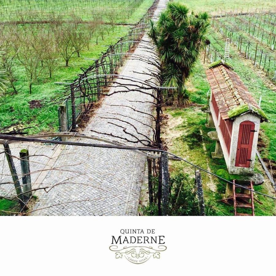 Villa Quinta de Maderne Felgueiras Exterior foto